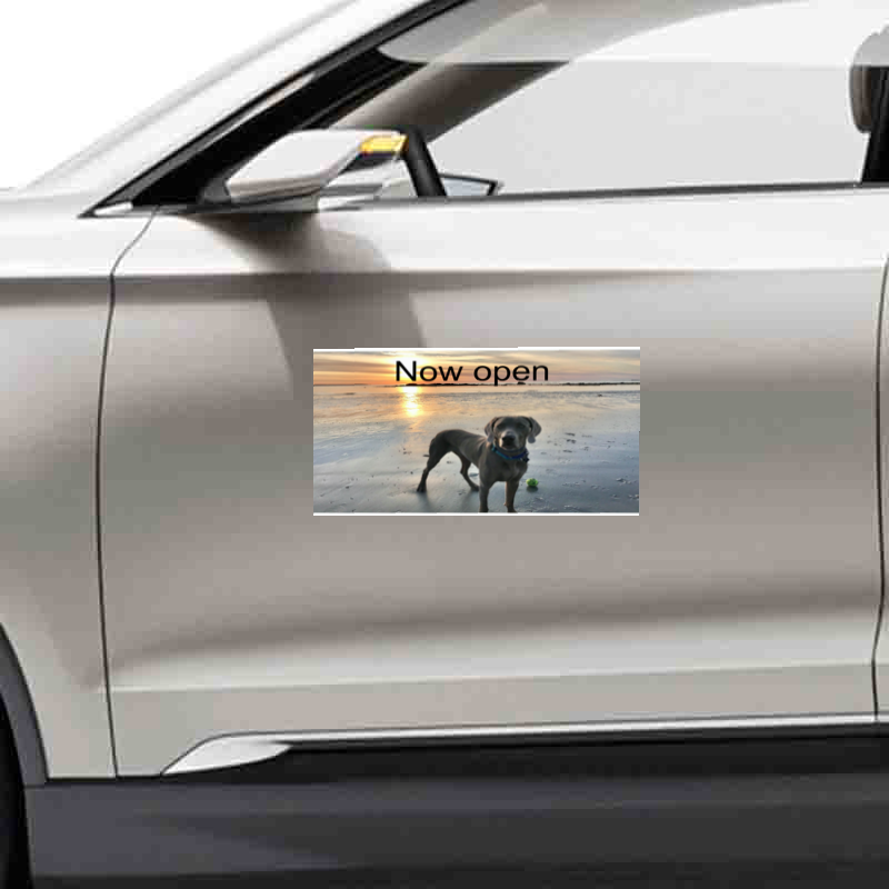 Car Magnets