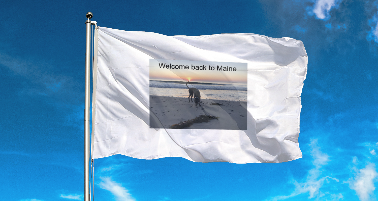 Horizontal Flag, Double Sided