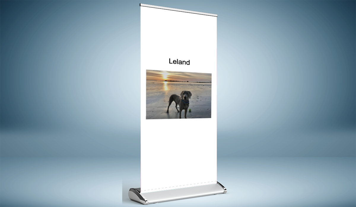 Deluxe Retractable